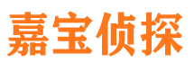 城阳侦探公司